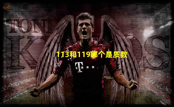 113和119哪个是质数