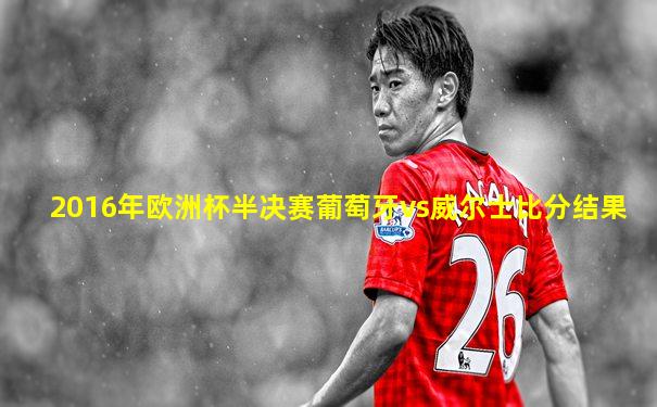 2016年欧洲杯半决赛葡萄牙vs威尔士比分结果