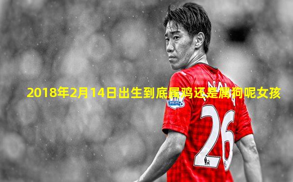 2018年2月14日出生到底属鸡还是属狗呢女孩