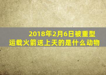 2018年2月6日被重型运载火箭送上天的是什么动物