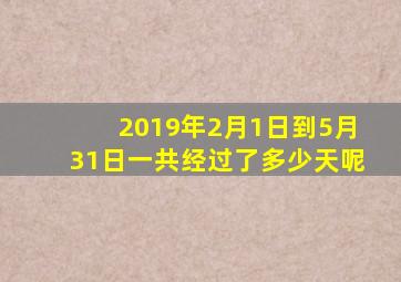 2019年2月1日到5月31日一共经过了多少天呢