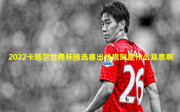 2022卡塔尔世界杯预选赛出线规则是什么意思啊