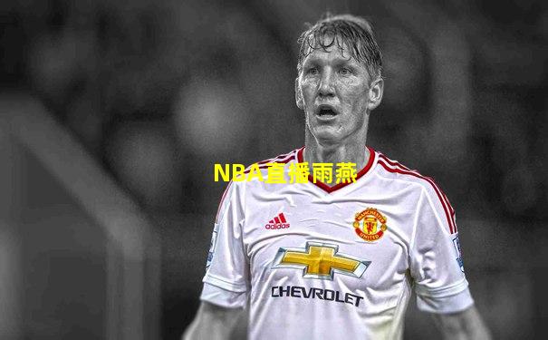 NBA直播雨燕