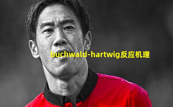 buchwald-hartwig反应机理