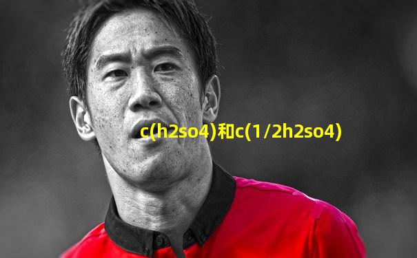 c(h2so4)和c(1/2h2so4)