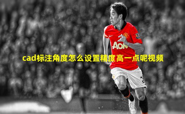 cad标注角度怎么设置精度高一点呢视频