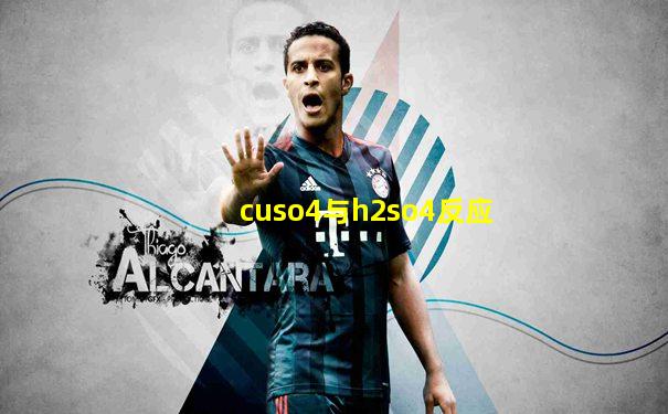cuso4与h2so4反应