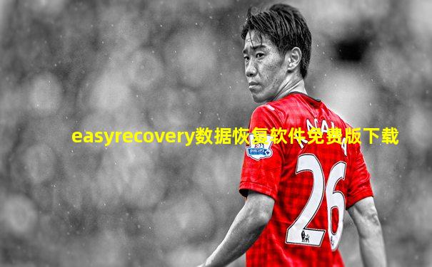 easyrecovery数据恢复软件免费版下载