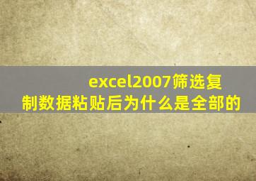 excel2007筛选复制数据粘贴后为什么是全部的