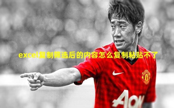 excel复制筛选后的内容怎么复制粘贴不了