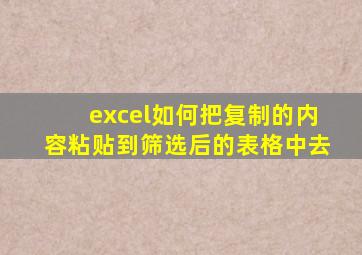 excel如何把复制的内容粘贴到筛选后的表格中去