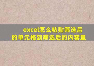 excel怎么粘贴筛选后的单元格到筛选后的内容里