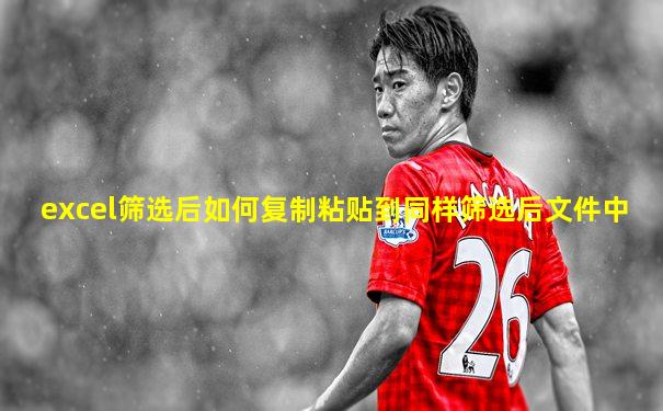 excel筛选后如何复制粘贴到同样筛选后文件中