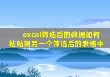 excel筛选后的数据如何粘贴到另一个筛选后的表格中