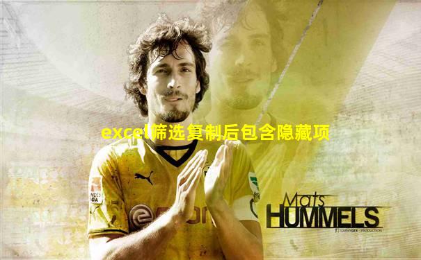 excel筛选复制后包含隐藏项
