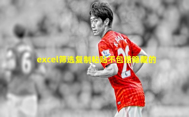 excel筛选复制粘贴不包括隐藏的