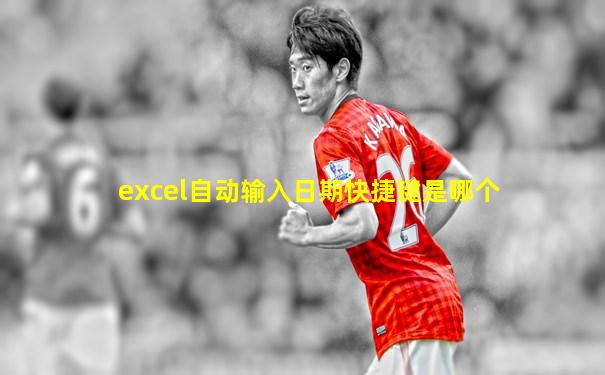 excel自动输入日期快捷键是哪个