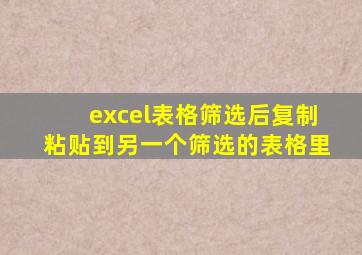 excel表格筛选后复制粘贴到另一个筛选的表格里