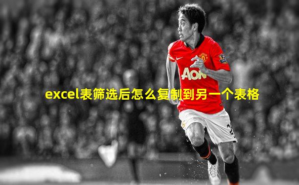 excel表筛选后怎么复制到另一个表格