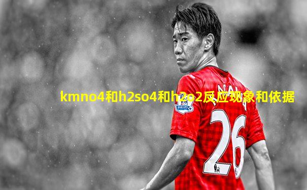 kmno4和h2so4和h2o2反应现象和依据