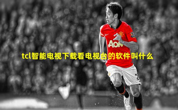 tcl智能电视下载看电视台的软件叫什么