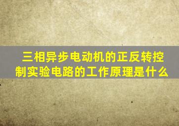 三相异步电动机的正反转控制实验电路的工作原理是什么
