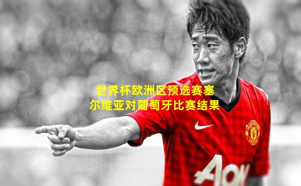 世界杯欧洲区预选赛塞尔维亚对葡萄牙比赛结果