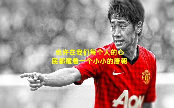 也许在我们每个人的心底都藏着一个小小的唐朝