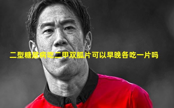 二型糖尿病吃二甲双胍片可以早晚各吃一片吗