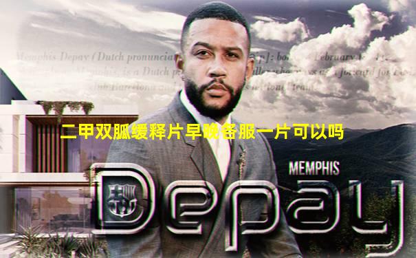 二甲双胍缓释片早晚各服一片可以吗