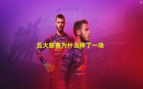 五大联赛为什么停了一场