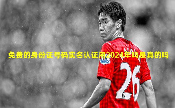 免费的身份证号码实名认证用2024年吗是真的吗