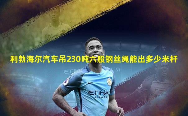利勃海尔汽车吊230吨六股钢丝绳能出多少米杆