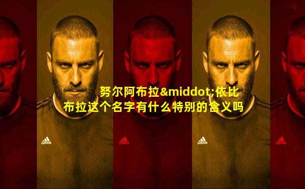 努尔阿布拉·依比布拉这个名字有什么特别的含义吗