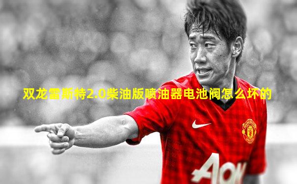 双龙雷斯特2.0柴油版喷油器电池阀怎么坏的