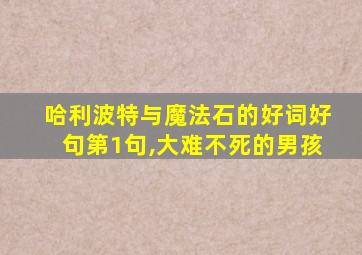 哈利波特与魔法石的好词好句第1句,大难不死的男孩
