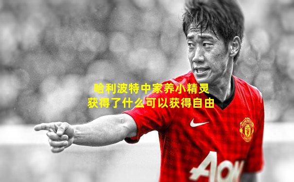 哈利波特中家养小精灵获得了什么可以获得自由