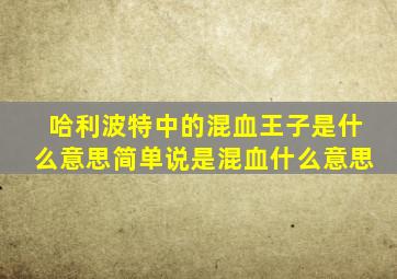哈利波特中的混血王子是什么意思简单说是混血什么意思