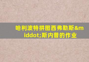 哈利波特拼图西弗勒斯·斯内普的作业
