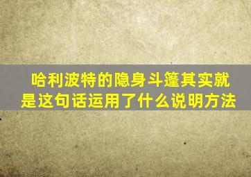 哈利波特的隐身斗篷其实就是这句话运用了什么说明方法