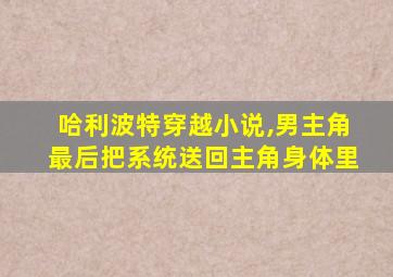 哈利波特穿越小说,男主角最后把系统送回主角身体里