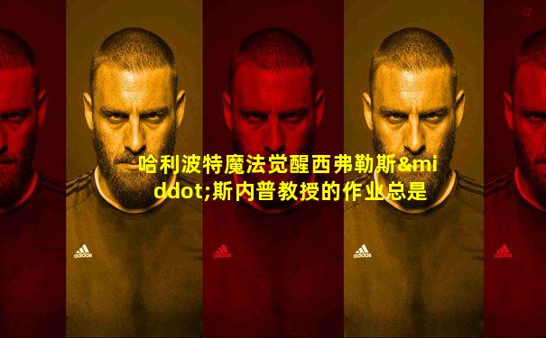 哈利波特魔法觉醒西弗勒斯·斯内普教授的作业总是