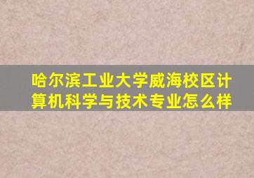 哈尔滨工业大学威海校区计算机科学与技术专业怎么样