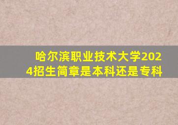 哈尔滨职业技术大学2024招生简章是本科还是专科