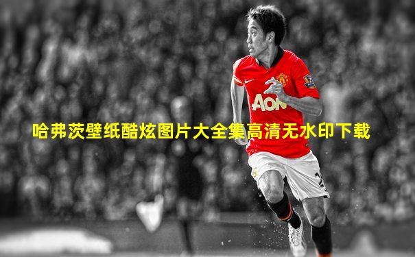 哈弗茨壁纸酷炫图片大全集高清无水印下载