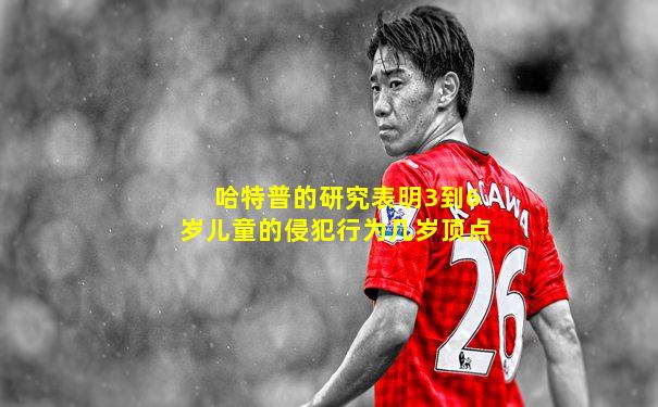 哈特普的研究表明3到6岁儿童的侵犯行为几岁顶点