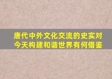 唐代中外文化交流的史实对今天构建和谐世界有何借鉴