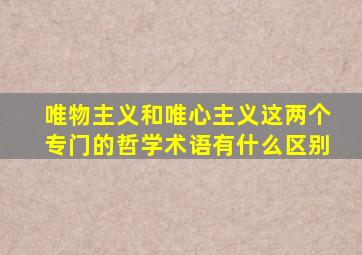 唯物主义和唯心主义这两个专门的哲学术语有什么区别