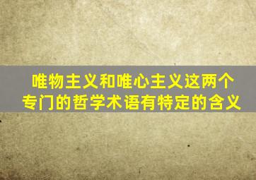唯物主义和唯心主义这两个专门的哲学术语有特定的含义