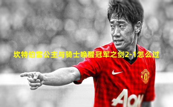 坎特伯雷公主与骑士唤醒冠军之剑2-1怎么过